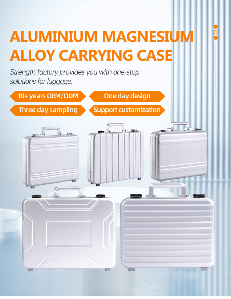 carry case 6.jpg